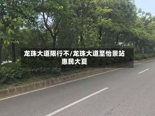 龙珠大道限行不/龙珠大道至怡景站惠民大夏-第2张图片
