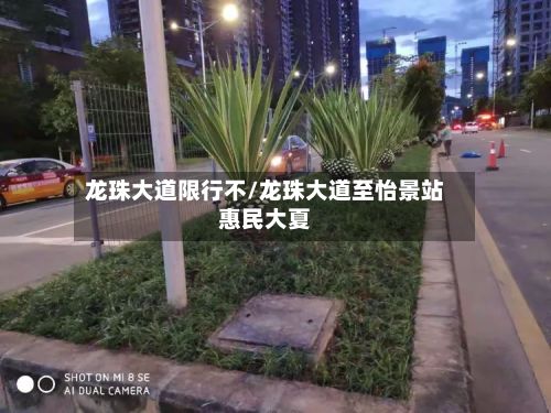 龙珠大道限行不/龙珠大道至怡景站惠民大夏
