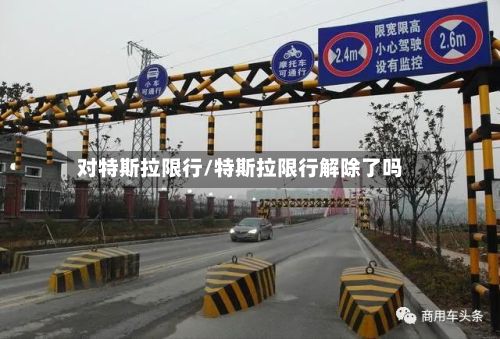 对特斯拉限行/特斯拉限行解除了吗-第2张图片