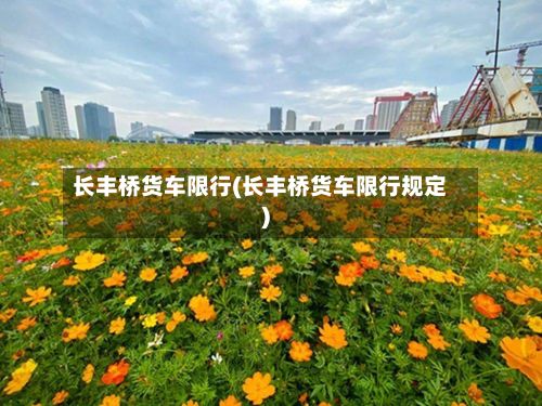 长丰桥货车限行(长丰桥货车限行规定)-第3张图片