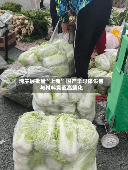 湾芯展批量“上新” 国产半导体设备与材料竞逐高端化-第3张图片