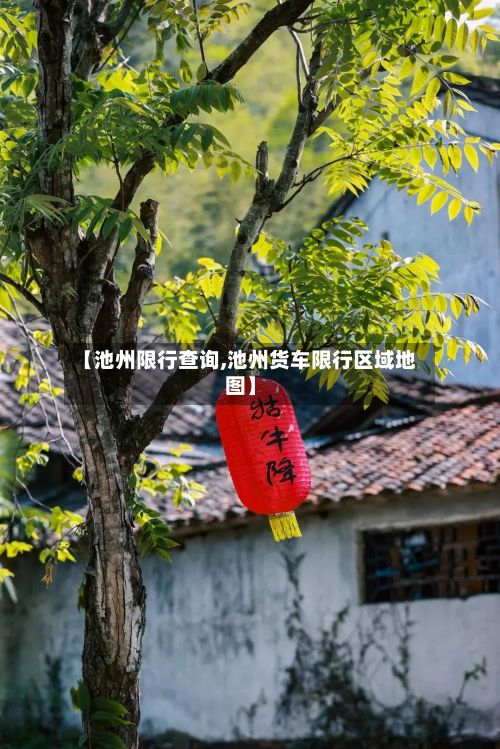 【池州限行查询,池州货车限行区域地图】