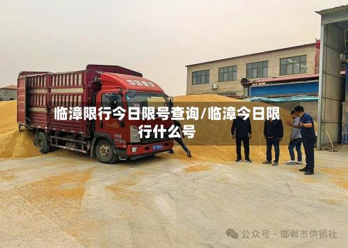 临漳限行今日限号查询/临漳今日限行什么号-第3张图片