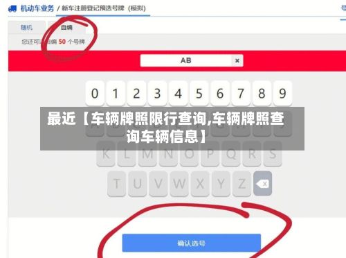 最近【车辆牌照限行查询,车辆牌照查询车辆信息】-第2张图片
