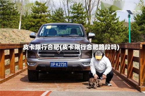 皮卡限行合肥(皮卡限行合肥路段吗)-第3张图片