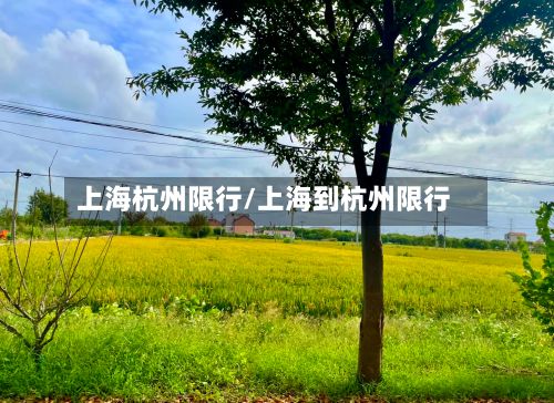 上海杭州限行/上海到杭州限行-第2张图片