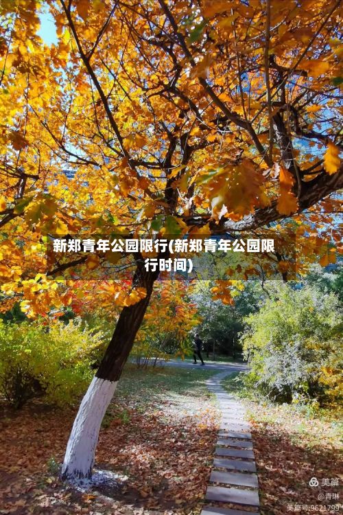 新郑青年公园限行(新郑青年公园限行时间)