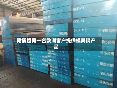 天工世界附属将向一名欧洲客户提供模具钢产品-第2张图片