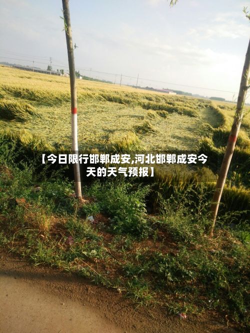 【今日限行邯郸成安,河北邯郸成安今天的天气预报】