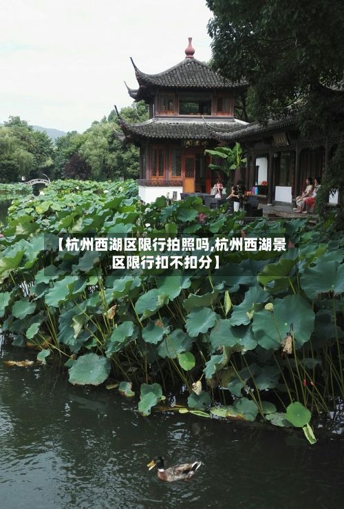 【杭州西湖区限行拍照吗,杭州西湖景区限行扣不扣分】-第3张图片
