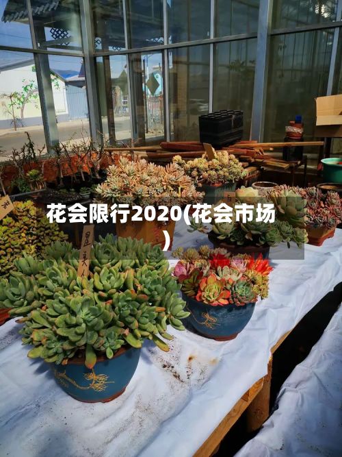 花会限行2020(花会市场)