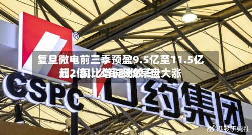 复旦微电前三季预盈9.5亿至11.5亿元，同比增长比较高超2倍，公司股价早盘大涨-第2张图片