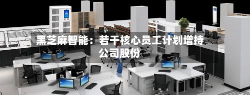 黑芝麻智能:若干核心员工计划增持公司股份-第2张图片