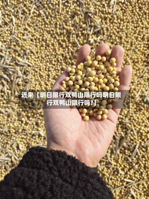 近来【明日限行双鸭山限行吗明日限行双鸭山限行吗?】