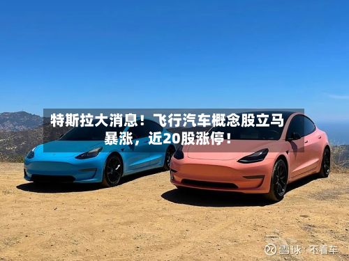 特斯拉大消息！飞行汽车概念股立马暴涨，近20股涨停！-第3张图片