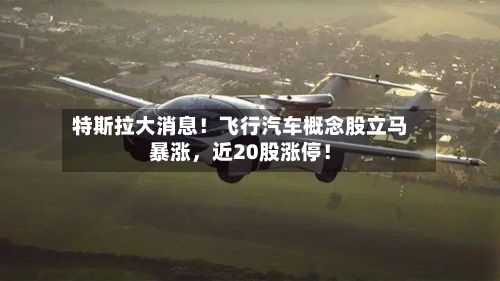 特斯拉大消息！飞行汽车概念股立马暴涨，近20股涨停！-第2张图片