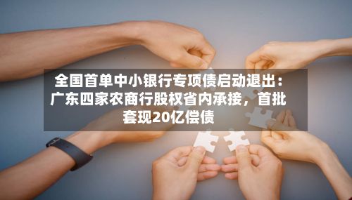 全国首单中小银行专项债启动退出：广东四家农商行股权省内承接	，首批套现20亿偿债-第2张图片