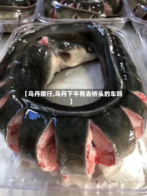 【乌丹限行,乌丹下午有去桥头的车吗】