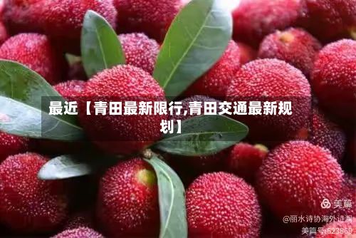 最近【青田最新限行,青田交通最新规划】