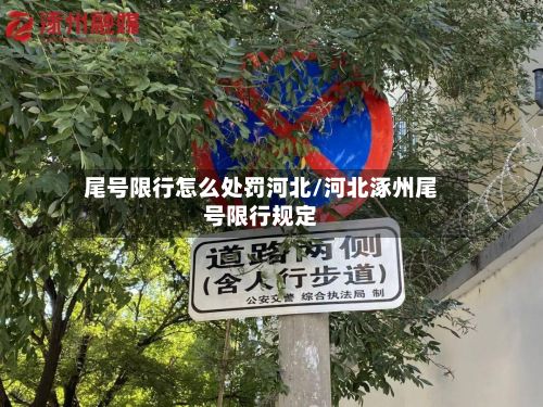 尾号限行怎么处罚河北/河北涿州尾号限行规定-第2张图片