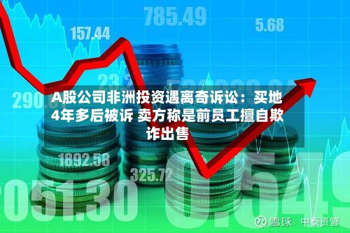 A股公司非洲投资遇离奇诉讼：买地4年多后被诉 卖方称是前员工擅自欺诈出售