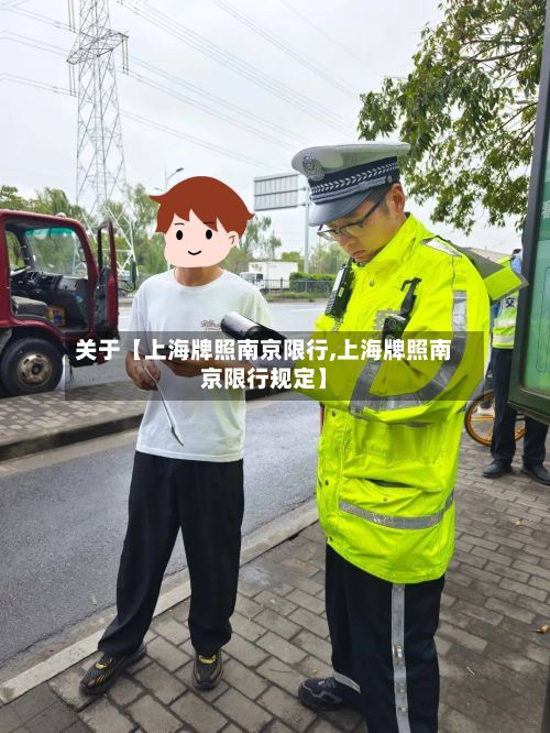 关于【上海牌照南京限行,上海牌照南京限行规定】