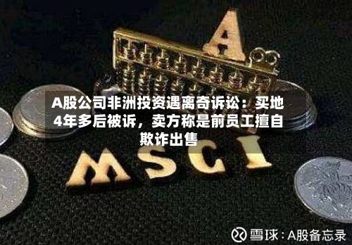 A股公司非洲投资遇离奇诉讼：买地4年多后被诉	，卖方称是前员工擅自欺诈出售-第1张图片