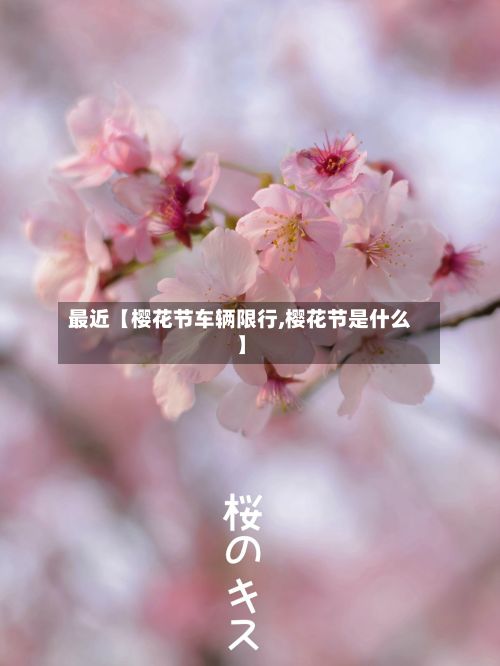 最近【樱花节车辆限行,樱花节是什么】-第3张图片