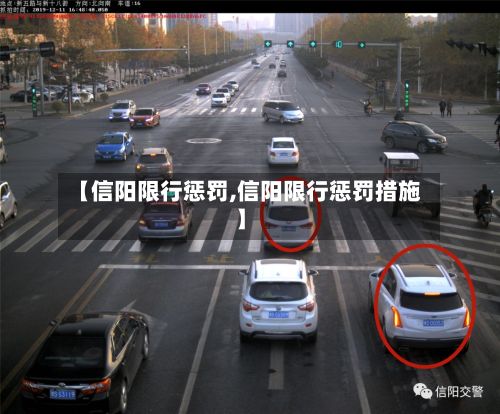 【信阳限行惩罚,信阳限行惩罚措施】-第2张图片