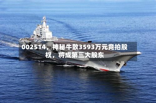 002514	，神秘牛散3593万元竞拍股权，将成第三大股东-第1张图片