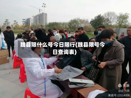 魏县限什么号今日限行(魏县限号今日查询表)-第2张图片