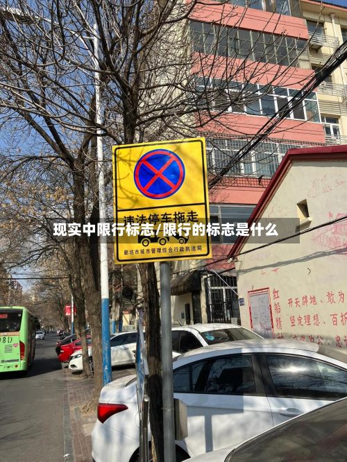 现实中限行标志/限行的标志是什么-第2张图片
