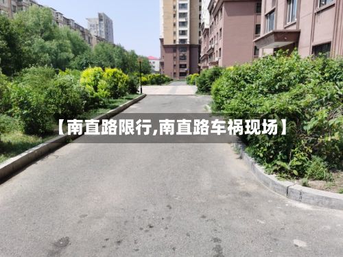 【南直路限行,南直路车祸现场】