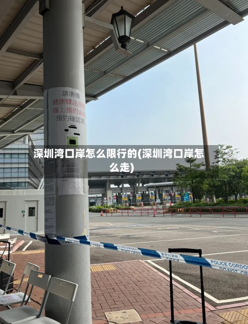 深圳湾口岸怎么限行的(深圳湾口岸怎么走)