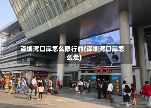 深圳湾口岸怎么限行的(深圳湾口岸怎么走)-第3张图片