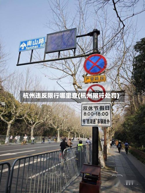杭州违反限行哪里查(杭州限行处罚)-第2张图片