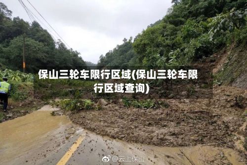 保山三轮车限行区域(保山三轮车限行区域查询)