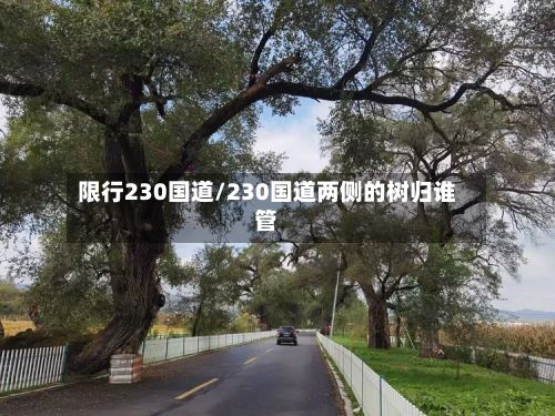 限行230国道/230国道两侧的树归谁管