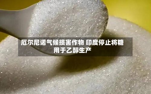 厄尔尼诺气候损害作物 印度停止将糖用于乙醇生产-第3张图片