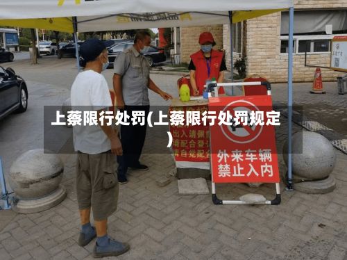 上蔡限行处罚(上蔡限行处罚规定)