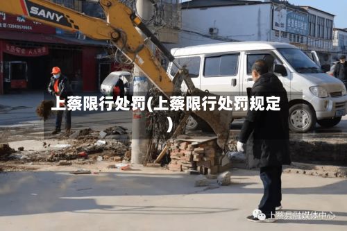 上蔡限行处罚(上蔡限行处罚规定)-第2张图片