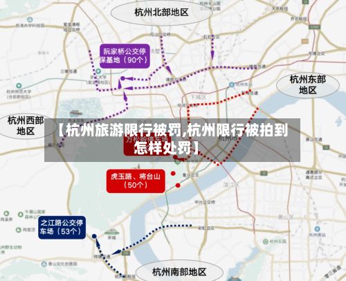 【杭州旅游限行被罚,杭州限行被拍到怎样处罚】