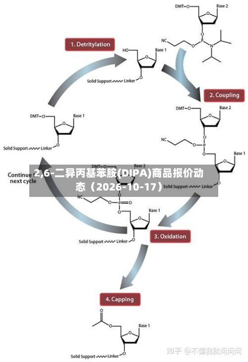 2,6-二异丙基苯胺(DIPA)商品报价动态（2026-10-17）-第1张图片