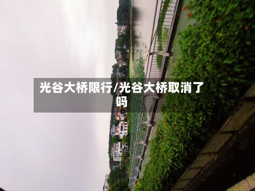 光谷大桥限行/光谷大桥取消了吗-第2张图片