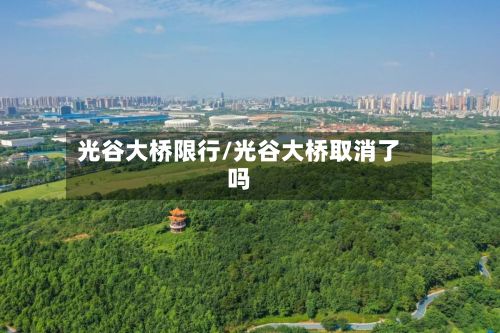 光谷大桥限行/光谷大桥取消了吗