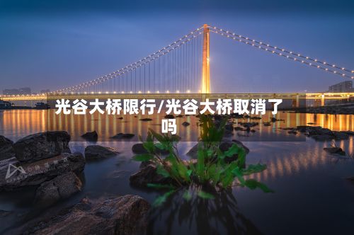 光谷大桥限行/光谷大桥取消了吗-第3张图片