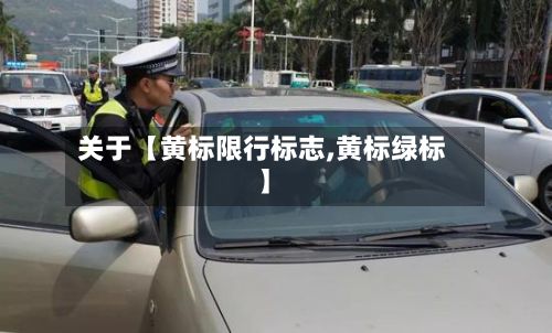 关于【黄标限行标志,黄标绿标】-第2张图片