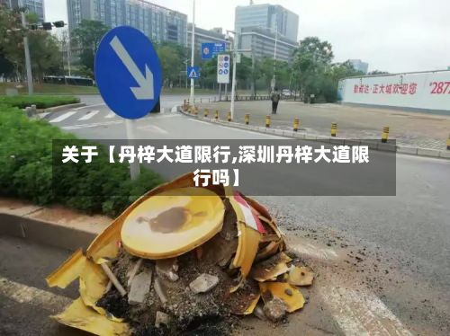 关于【丹梓大道限行,深圳丹梓大道限行吗】-第3张图片