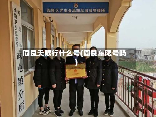 阎良天限行什么号(阎良车限号吗)-第2张图片