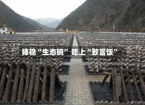 捧稳“生态碗” 吃上“致富饭	”-第3张图片